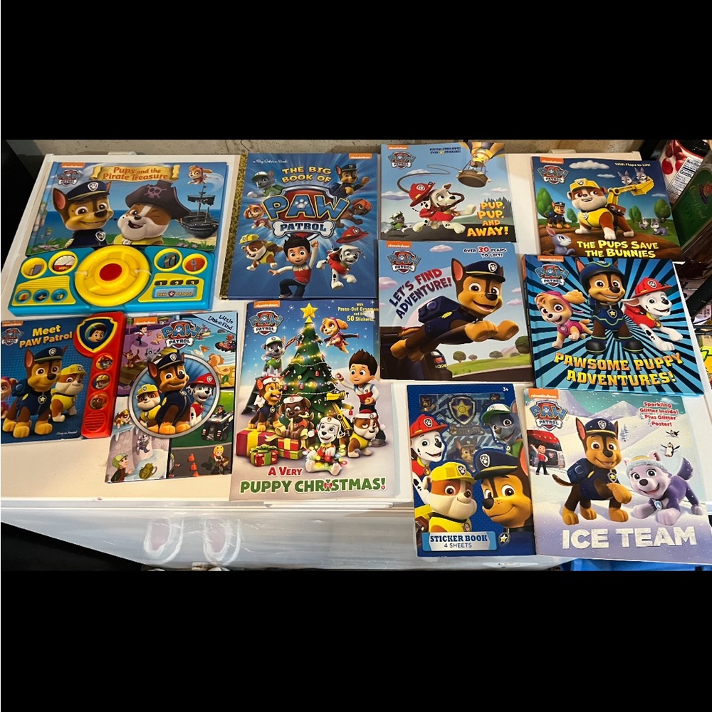 Paw Patrol Children's Books and Activity Lot